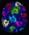Scrambled Eggs 17