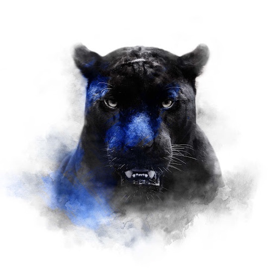 BLUE SERIES - BLACK PANTHER