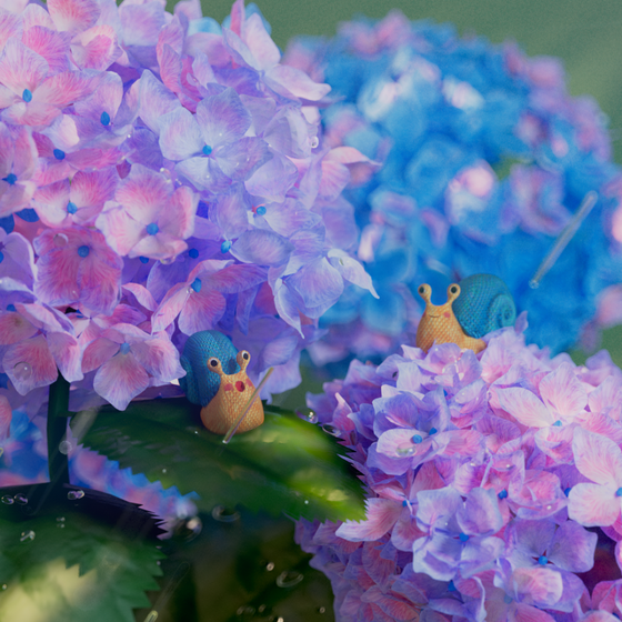 Rainy garden