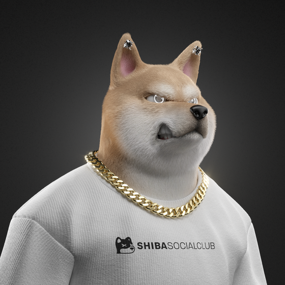 Shiba #3194