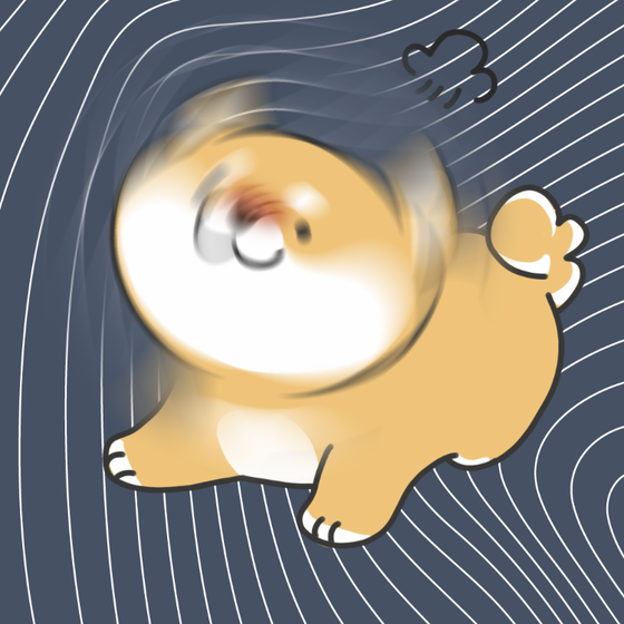 DogDrill#1428