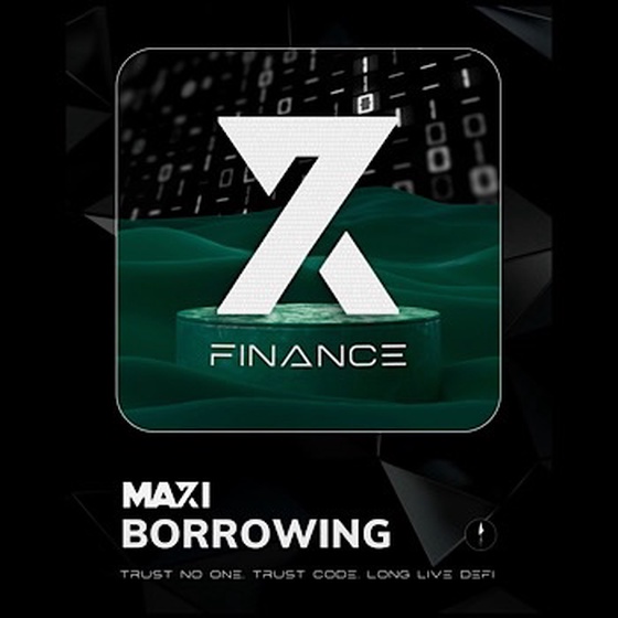 X7 Borrowing Maxi # 33