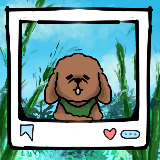 旅する犬 #1708