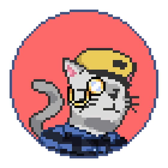 Catcoin #558