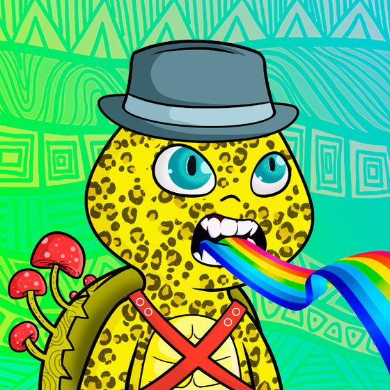 Turtle Buddy #38