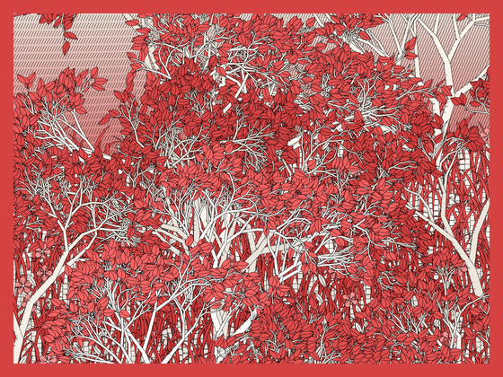Entangled #17