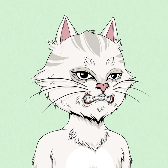 Angry Cat #4568