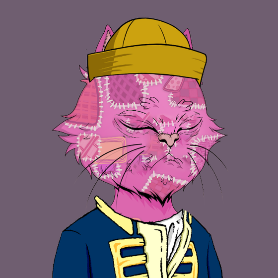 Angry Cat YC #2353