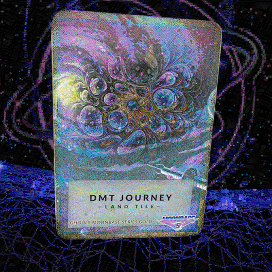 DMT Journey