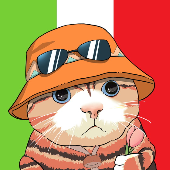 Puzzled cat #5607