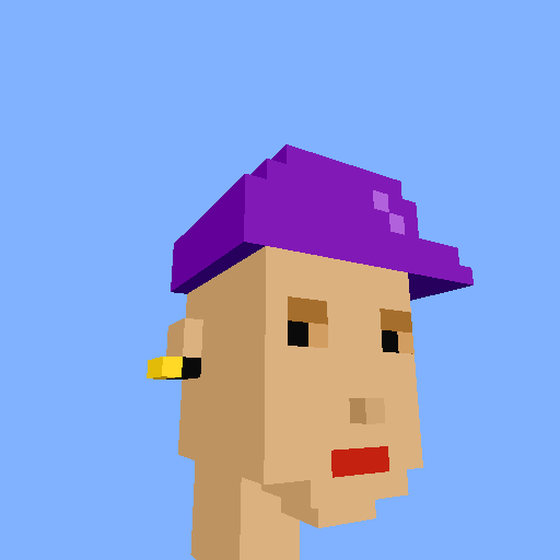 PunkVoxels #6587