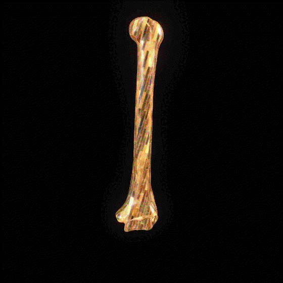 Party Bone #6648