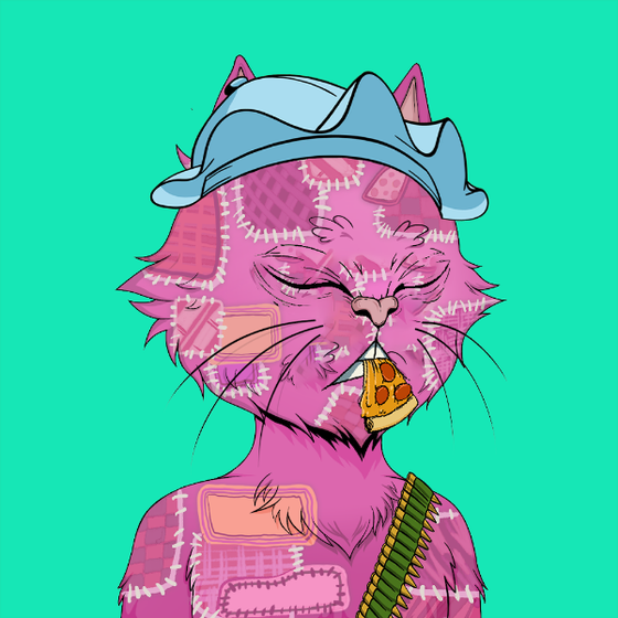 Angry Cat YC #130