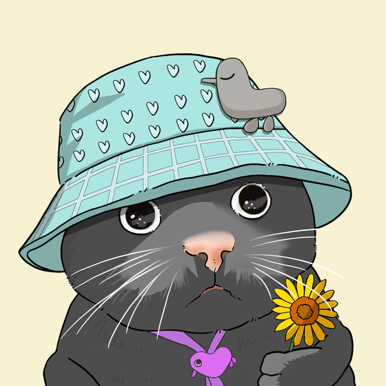 Puzzled cat #2675