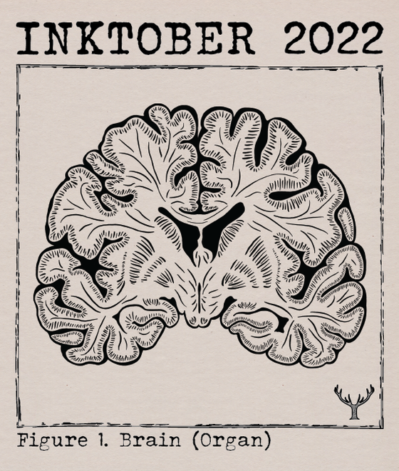 Figure 1. Brain (Organ)