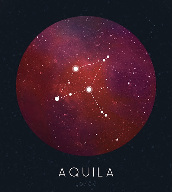 Aquila