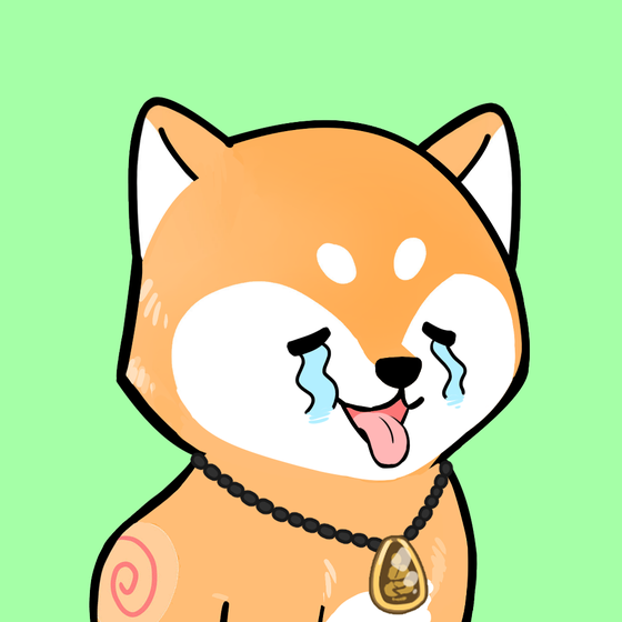 Shiba #308