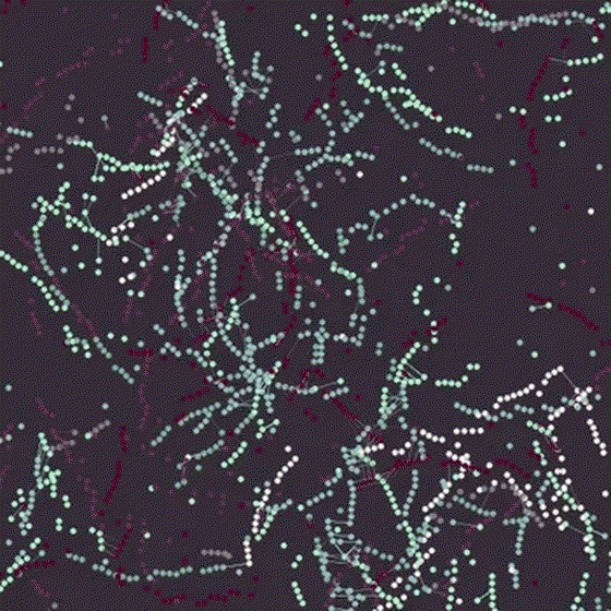 NODES #26