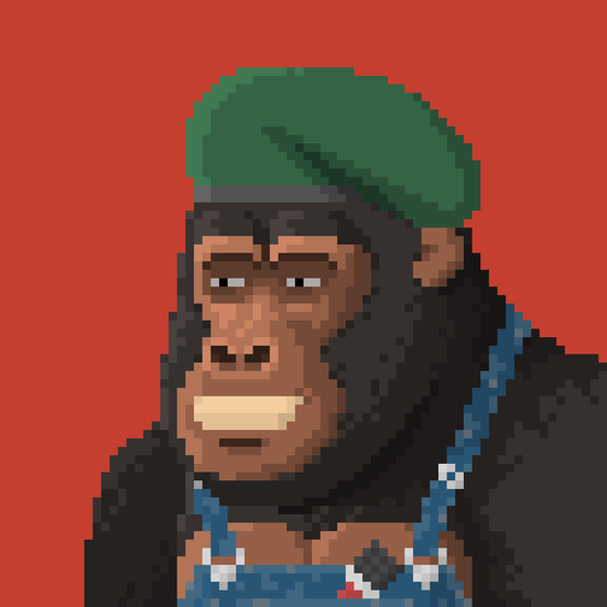 GORILLABYTE_202