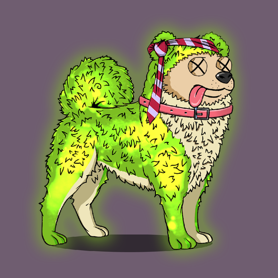y00ts Canine Club #2542