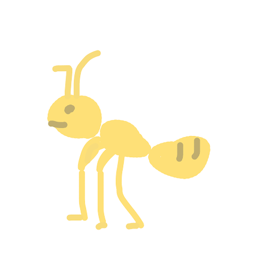 Pharaoh Ant