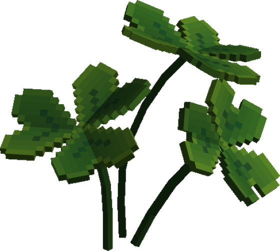 Clovers