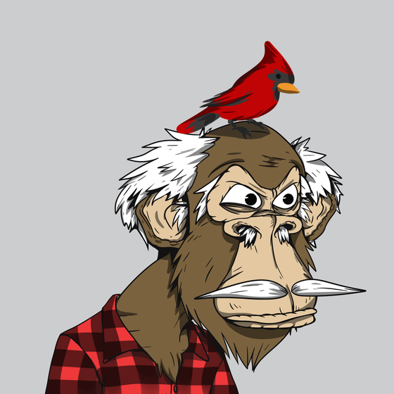 Grandpa Ape #1303