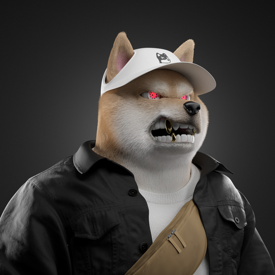 Shiba #6056