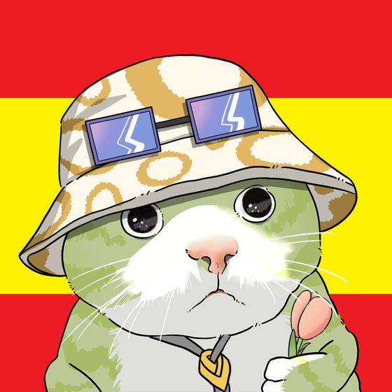Puzzled cat #5037