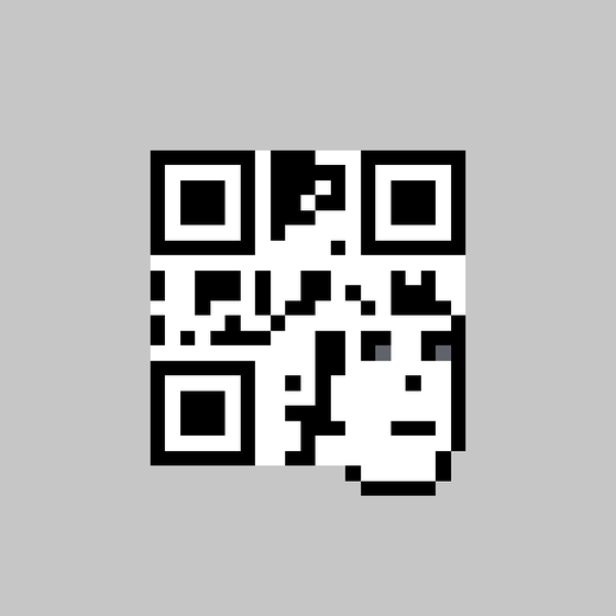 QR Pixels #2363