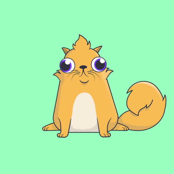Kitty Cat #3