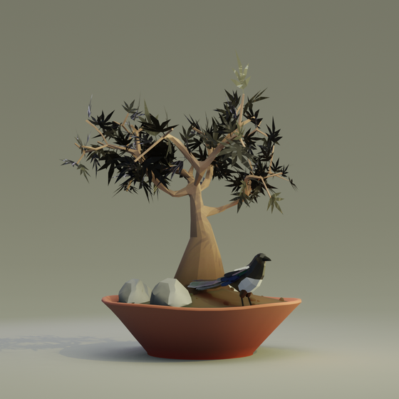 Bonsai #6799