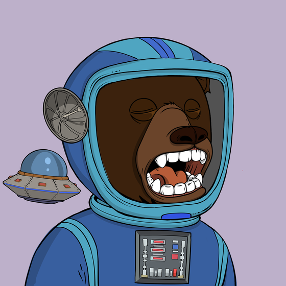 Okay Space Bear #1620