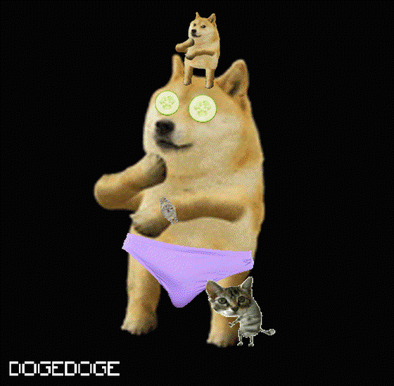 DOGEDOGE #11