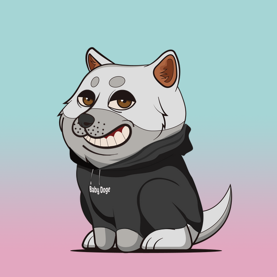Baby Doge #1497