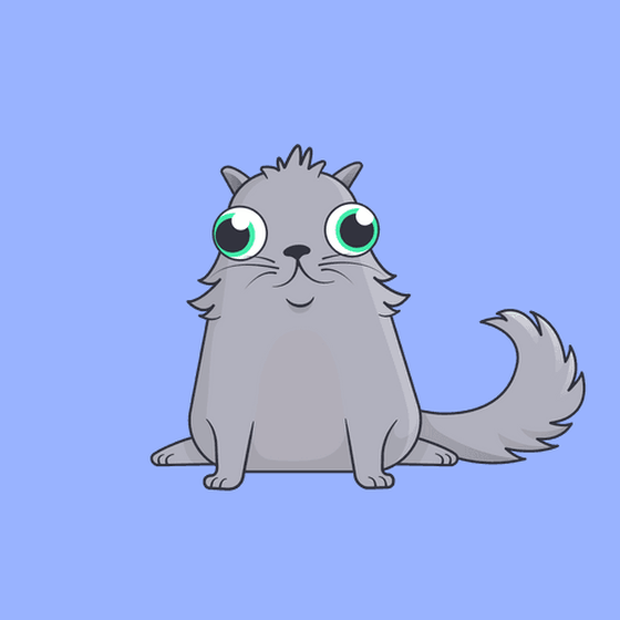 Kitty Cat #2