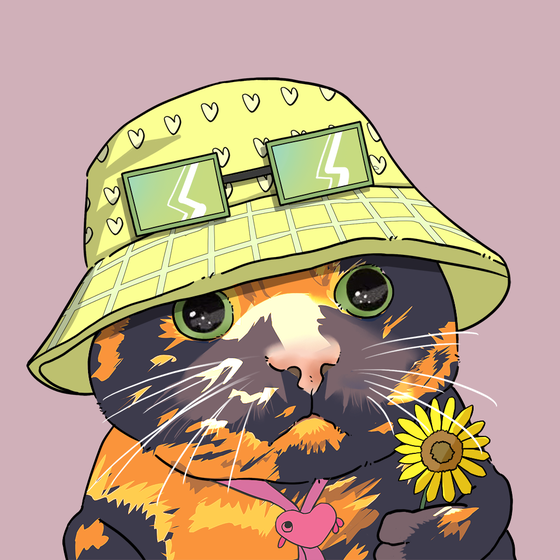 Puzzled cat #321
