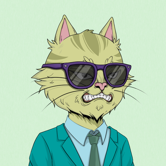 Angry Cat #4550