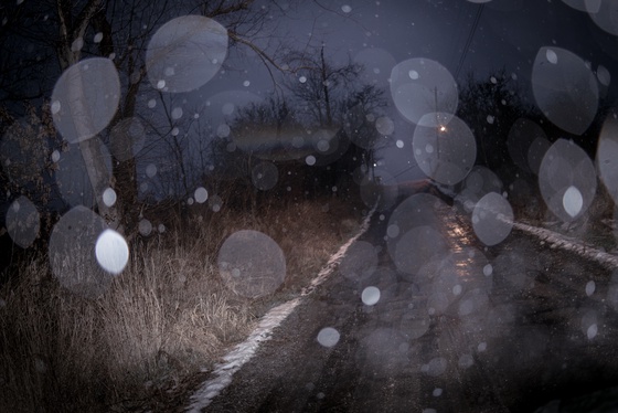 The Black Mechanism #5 (Untitled 11385-1781) by Todd Hido