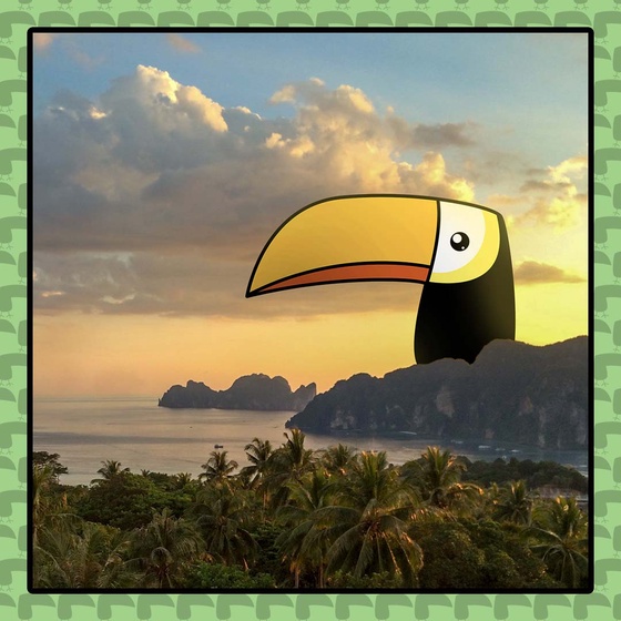 Travel Toucan #69