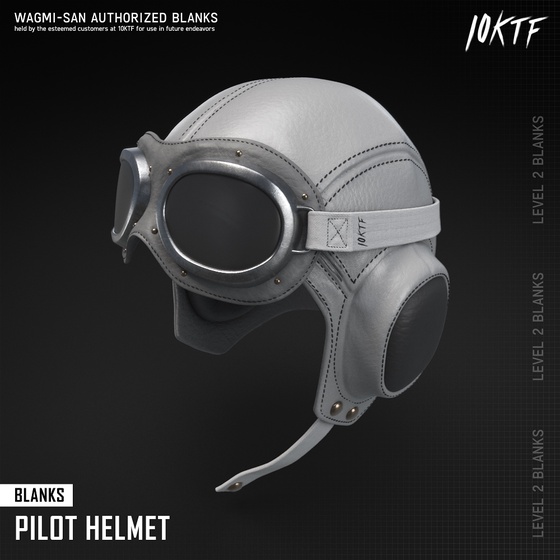 Blank Pilot Helmet