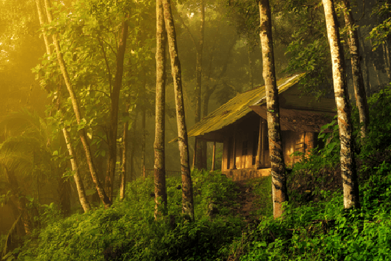 Early morning at the farmer's cabin