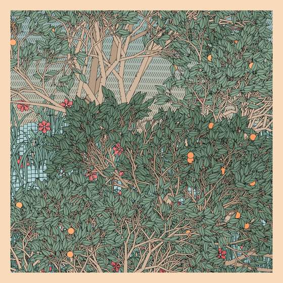 Entangled #494
