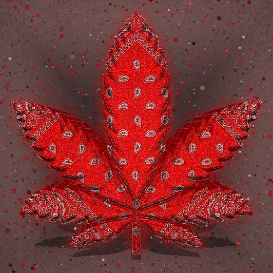 SUPREME Cannabis #9610