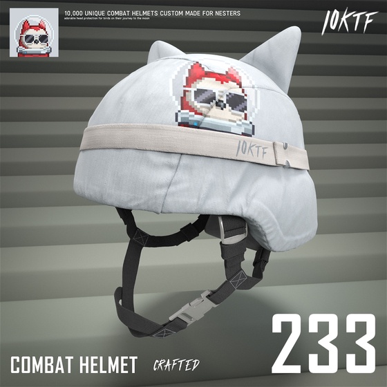 Moonbird Combat Helmet #233