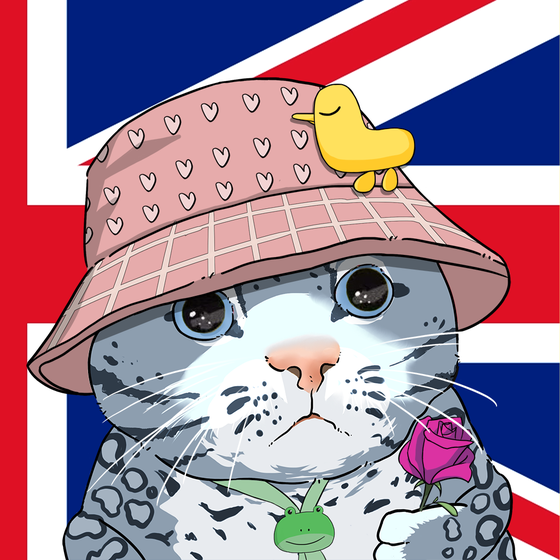 Puzzled cat #5069