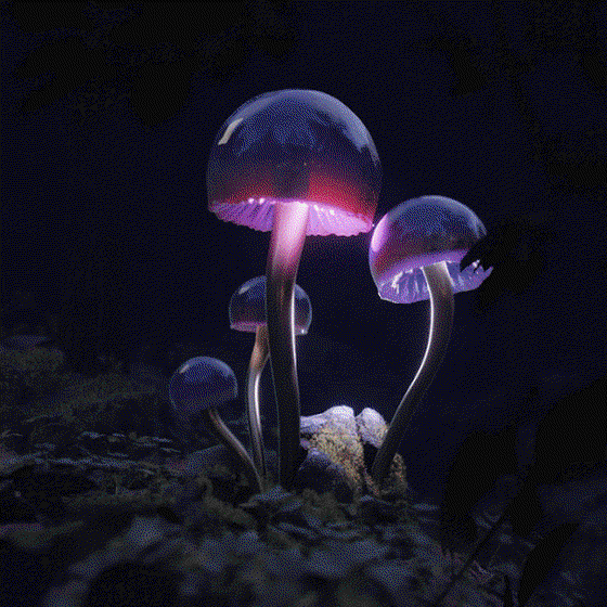 Non-fungible FUNGI_013