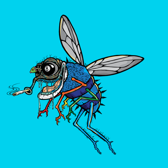 Funky Fly #2211