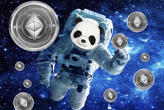 Astronaut Panda 