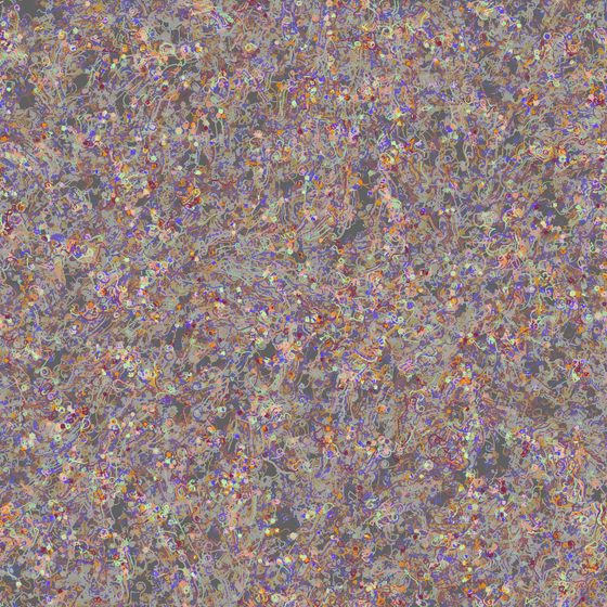Distorted Partices #21